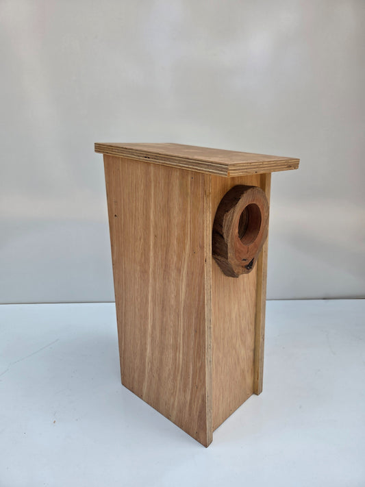 Pale Headed or Eastern Rosella