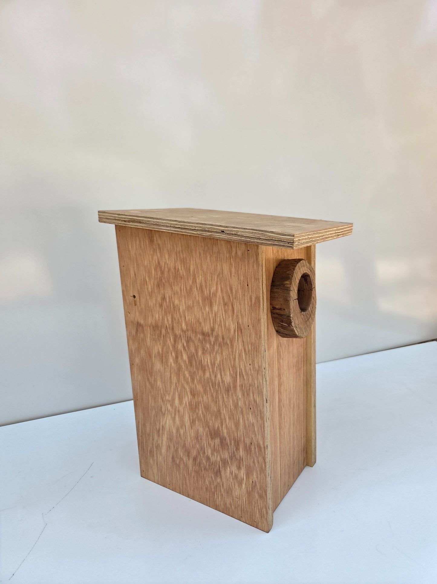 Brushtailed Phascogale