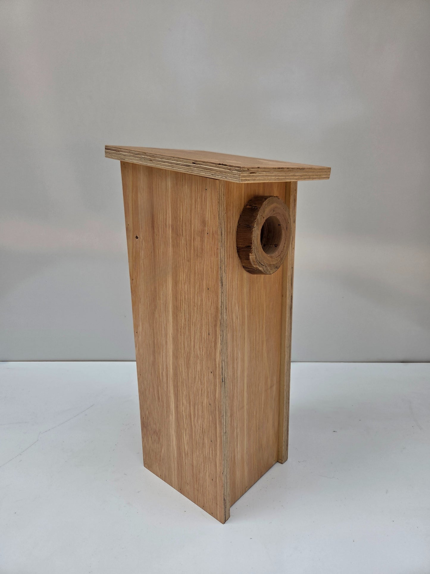 Scaly Breasted Lorikeet