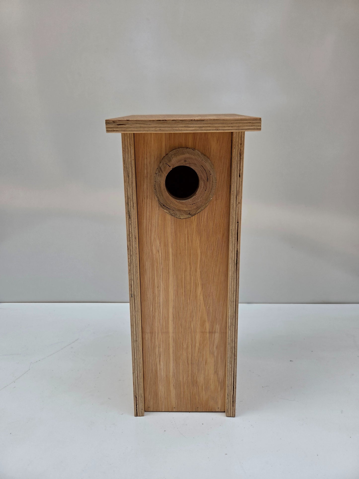 Scaly Breasted Lorikeet